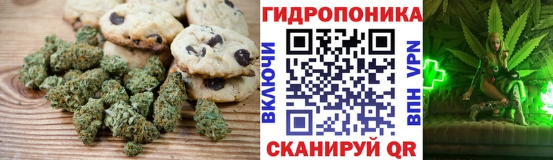 Canna-Cookies марихуана  где можно купить   Брянск 