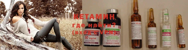 сатива Бородино