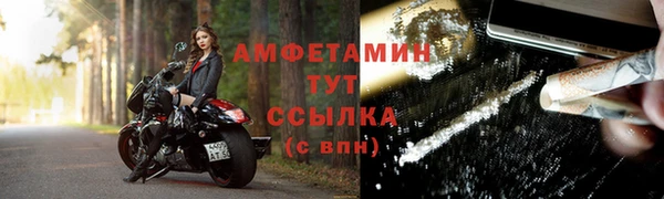 сатива Бородино