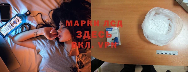 сатива Бородино