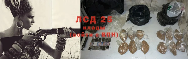 крисы Бронницы
