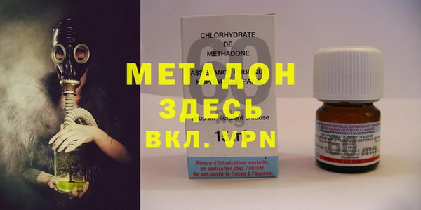 сатива Бородино