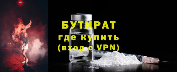 сатива Бородино