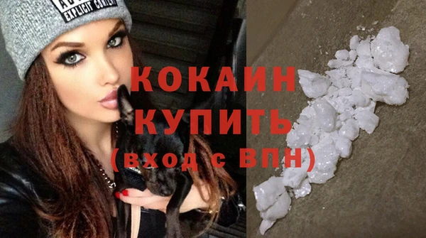 сатива Бородино