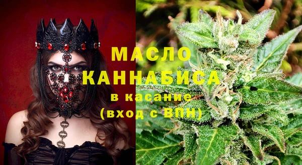 сатива Бородино