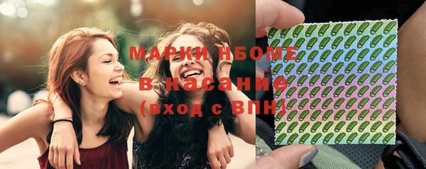 крисы Бронницы