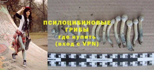 крисы Бронницы