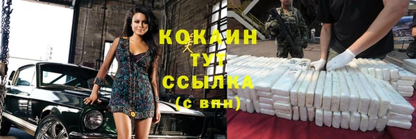 крисы Бронницы