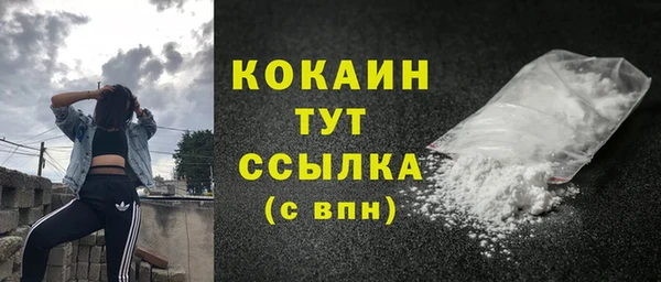 сатива Бородино